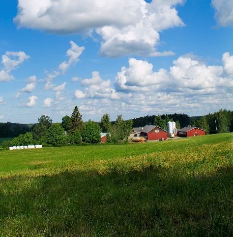 MAATILA Tuotantopanosten hinnat Tuet