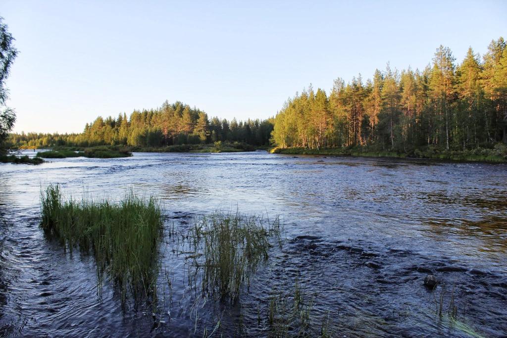 Pooli 4, länsirantaa