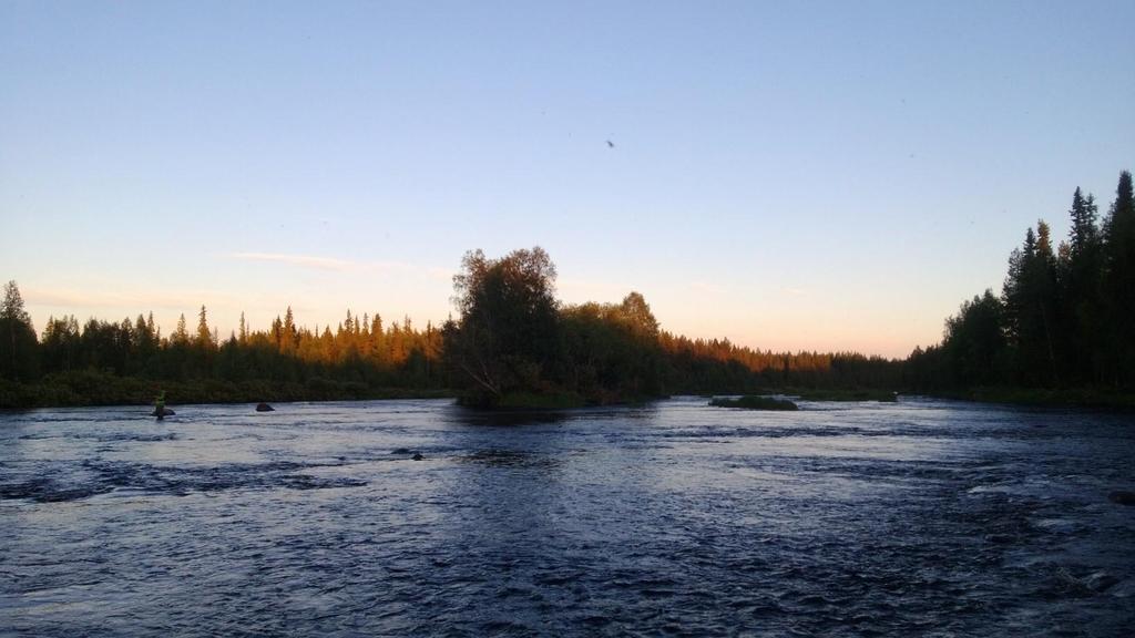 KOEKALASTUS Poolijako ja koekalastusjärjestely Koekalastusryhmän koko oli kahdeksan kalastajaa.