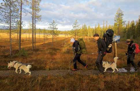 Liikuntapuisto Syötteen luontokeskus Keskustaajamassa sijaitsevassa liikuntapuistossa voi liikkua ja virkistäytyä monin eri tavoin.