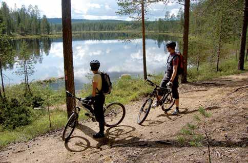 Syötteen monet autotiet palvelevat retkipyöräilijöitä. Ne kulkevat harju- ja metsämaisemissa tehden alueeseen tutustumisen pyörän selässä helpoksi.