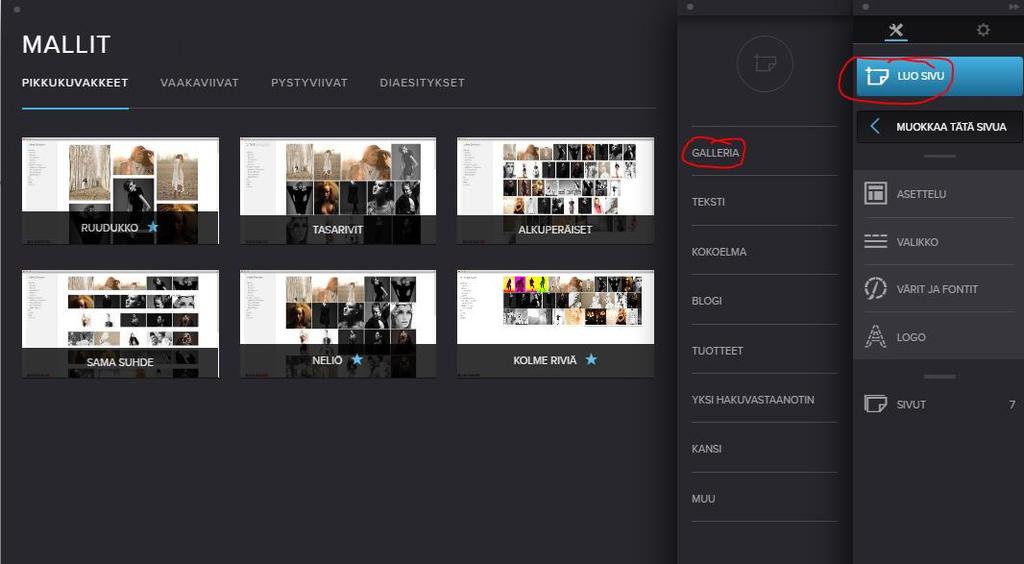 Kuvagalleria-sivun lisääminen Uuden kuvagalleria-sivun voit luoda kohdasta: Luo sivu > Galleria > Ja valitse