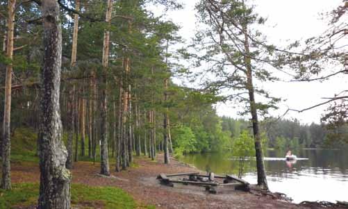 Kansallispuisto Päijänne suomi Suomen toiseksi suurimman järven aavojen ulapoiden keskeltä löytyy aarre: jyrkkien kallioiden, hiekkaisten harjujen ja pienten luotojen muodostama saaristokokonaisuus