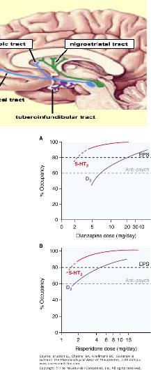 sedatiivisia (toleranssi) Nopea vaikutus Antiemeettinen vaikutus Vaikuttaa oksennuskeskukseen Psykoosilääkeiden jaottelu Perinteiset (tyypilliset) antipsykootit (neuroleptit) Klooripromatsiini,