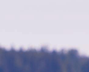 ovat suunnannäyttäjiä,