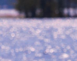 henkilökuntaan sekä