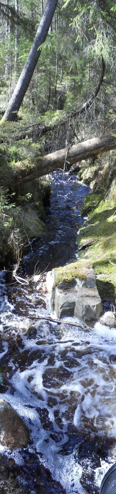 Luonnontilainen valuma-alue (Pyhä-Häkki) Veden laadun seuranta-asema vastaanottaa vedet n. 365 ha luonnontilaiselta valuma-alueelta.