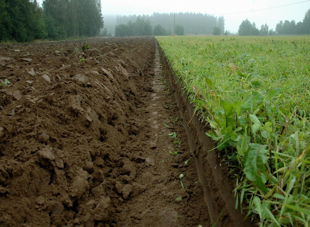 Etanoiden torjuntaan uudenaikainen valmiste Nykyisin markkinoilla kaksi valmistetta Mesurol etanansyötti