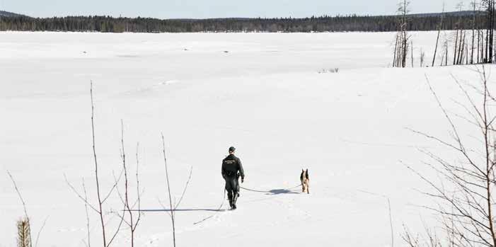 -Koiralle opetetaan luopuminen ja ei-sana. Niidenkään opettamiseen ei tarvita fyysistä rankaisua.