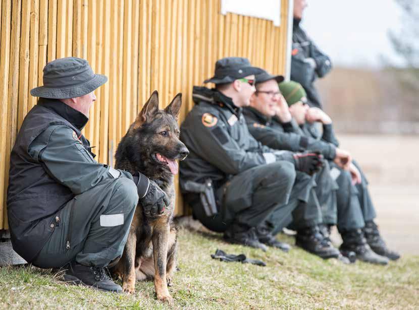 Ajatuksena on ollut luoda pienimuotoinen leikkimielinen kilpailutilanne ohjaajien välille.