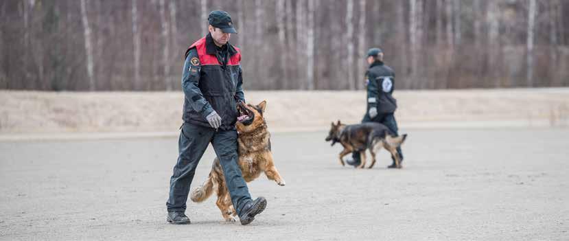 vanhempi rajavartija Kari Kiiveri idean synnystä.
