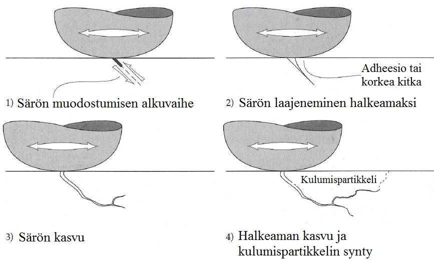 51 Mikäli liukupinnat ovat onnistuneesti erotettu toisistaan voiteluainekalvolla ja hiovien (abrasiivisten) partikkelien pääsy liukupinnoille on estetty, voidaan adhesiivinen ja abrasiivinen