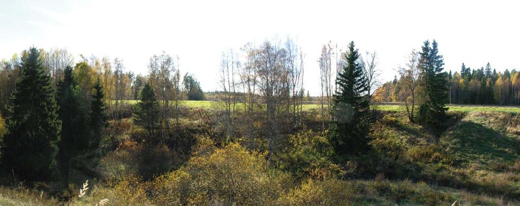3.4. Alueen virkistyskäyttötapoja 3.4.1. Lenkkeily, sauvakävely ja patikointi Lenkkeily ja kävely on suosittua kivikauden polulla.