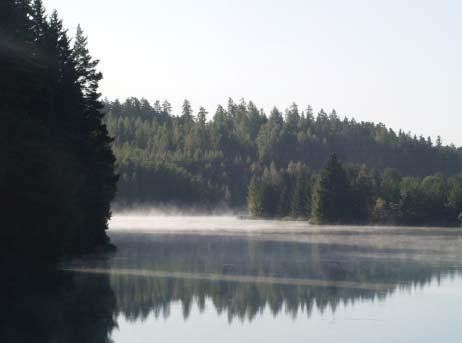 Metsätalous on alueella kuitenkin intensiivistä, joten varttuneita metsiä on vähän ja suuri osa alueesta on taimikkoa tai nuorta metsää.