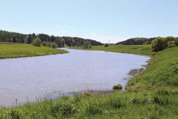 Kiinteitä muinaisjäännöksiä on suunnittelualueella erityisesti Aurajokilaaksossa sekä sorakuoppaan muodostuneen Maarian uimapaikan tuntumassa.