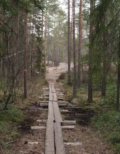 Muinaisjäännösten huomioiminen Jos rakennettuja ulkoilureittejä, ratsastusreittejä tai reitistön etappeihin liittyviä rakenteita aiotaan toteuttaa muinaisjäännösten läheisyyteen, museokeskukseen on