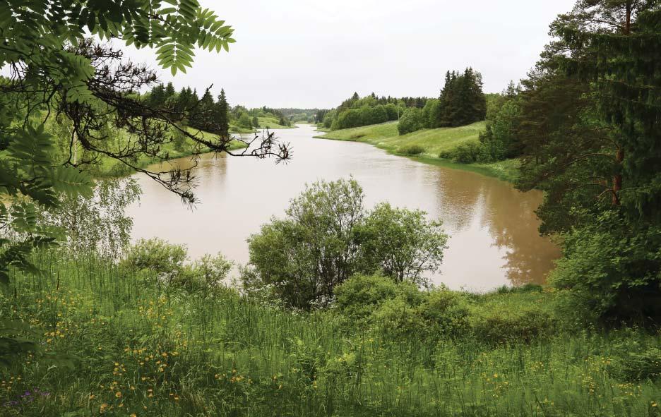 8.4. Metsäranta (kohde 4) Vahvuudet: Rajakallio on paikallisten hyvin tuntema paikka, joka tuli esille monissa pajoissa ja yleisötilaisuuksissa.