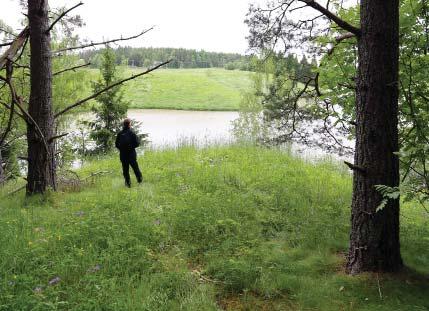 Huomioitavaa: Kasvillisuudeltaan Rajakallio on herkkää jäkälätyypin metsää, kuten muutkin seudun korkeahkot kalliot. Jäkäläpeite on jo osin kulunut.