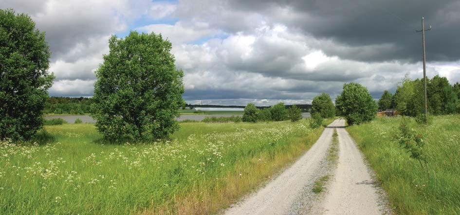 Altaan itärannalla maisema on puoliavointa niittyä, jolla kasvaa siellä täällä pensaita, yksittäispuita ja pieniä puuryhmiä.