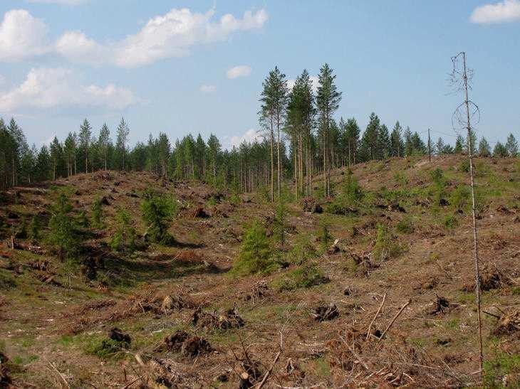 12 alueen maankäyttöä suunniteltaessa. Silmälampi tulisi jättää rantarakentamisen ulkopuolelle pienen kokonsa vuoksi (pinta-ala alle 1ha).