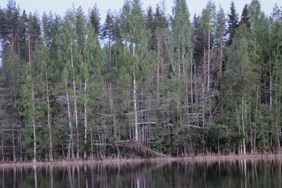 19 Kuva 18. Levälahden dys-oligotrofista lounaisrantaa Ala-Vekaraisella. Kuva 19. Haukkajoen uomaa lähellä Levälahtea Ala-Vekaraisella.