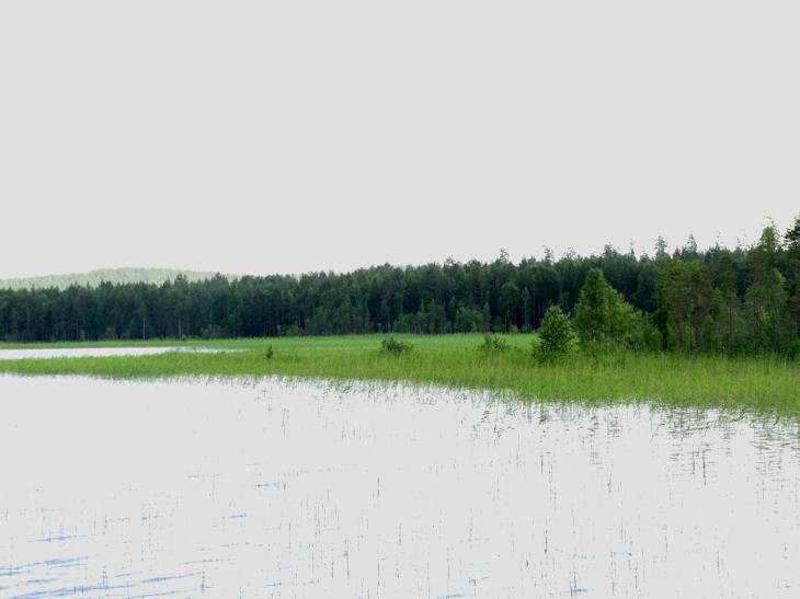 20 4.5. Keski-Vekarainen Keski-Vekaraisen lounaisranta kuuluu suunnittelualueeseen Kangaslahdesta järven ainoan saaren kohdalle asti. Ranta on Kirkkokankaan itäreunaa.