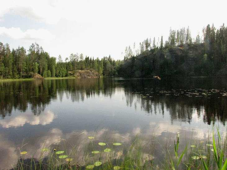 22 lintutai nisäkäslajeja tai uhanalaisille lajeille soveltuvia biotooppeja, jotka tulisi erityisesti ottaa huomioon alueen maankäyttöä suunniteltaessa.