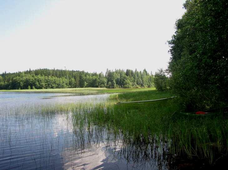 8 Kuva 3. Lohnanharjun rantaa Lohnankoskelle kuvattuna. Kuva 4. Lohnankosken niska ja koskenniskan rantavedet indikoivat eutrofisuutta.