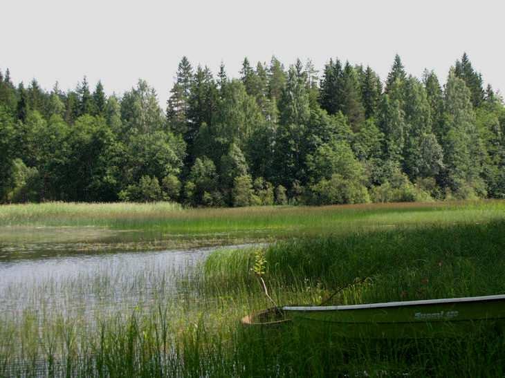 Vasikkakangas Tervakankaan pohjoispuolella on hietapitoisesta sorasta muodostunut harjujakso, jonka pohjoissivulla on Valkealampi, Mustikkalampi sekä Hanlampi ja eteläsivulla puolestaan Hiidenlampi.