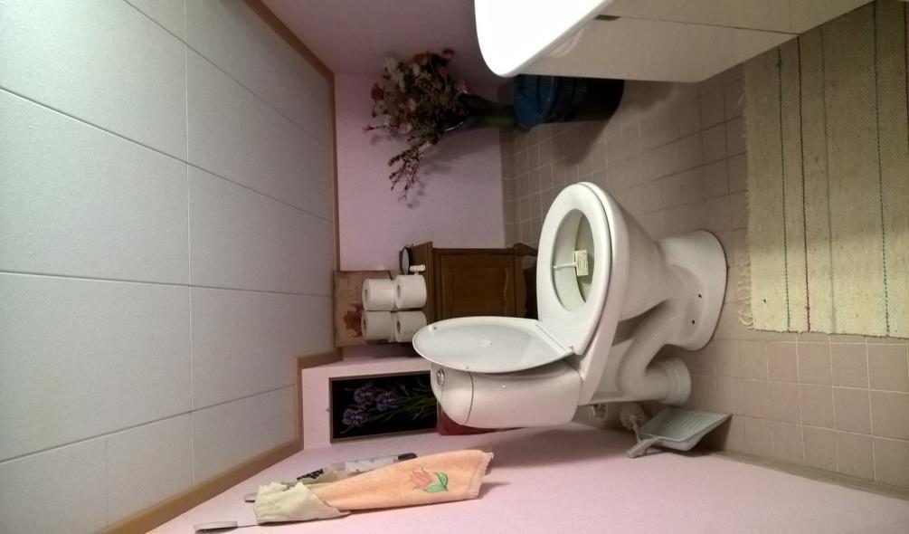 24 Esteettömyys on hyvin laaja-alainen käsite ja sitä voidaan tarkastella useasta eri näkökulmasta.