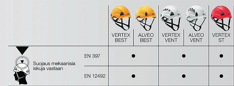 PÄÄNSUOJAUKSEN RISKIENARVIOINTI MIKSI PÄÄNSUOJAUKSEN RISKIENARVIOINTI TULEE TEHDÄ?