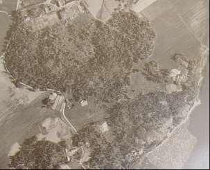 Gammelbackan kartano oli suurtila vielä 1930-luvulla, kun se jäi tyhjilleen. Tyhjän kartanon puistokäytävät ruohottuivat umpeen ja hoitamattomaan puistoon alkoi kasvaa kuusikkoa ja vesakkoa.