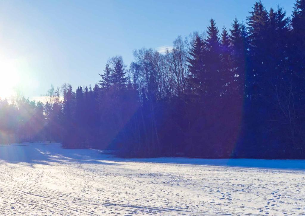 Ympäröivä Tapiola on puutarhojen kaupunginosa kaikkina vuodenaikoina.