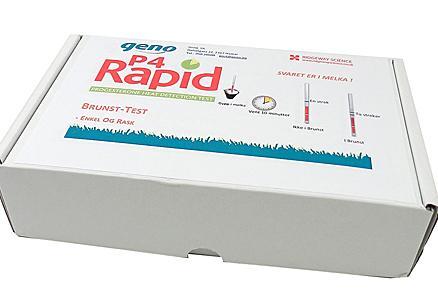 P4 Rapid -testit Sari Kajava/MTT