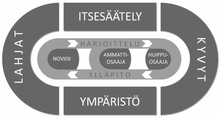 Kuvio 1. Ammatillisen huippuosaamisen kehittymisen malli.