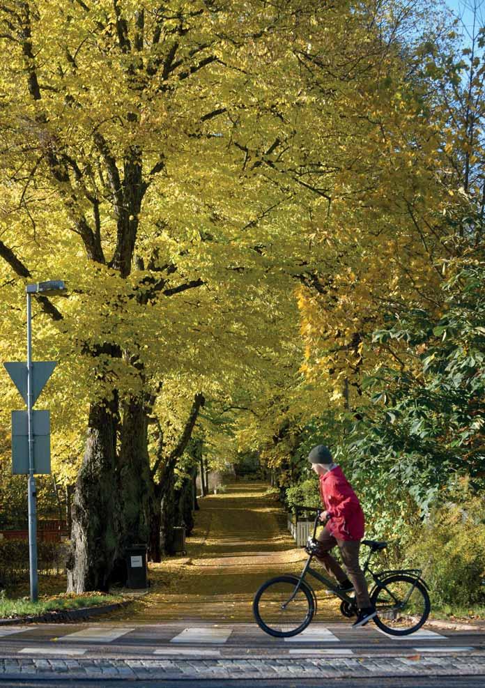2.3 TURVATTOMUUS- KOKEMUKSISSA PALJON VAIHTELUA ASUINALUEIDEN VÄLILLÄ Helsinkiläiset kokevat turvallisuutensa omalla asuinalueellaan jokseenkin yhtä hyväksi kuin aiempina vuosina.