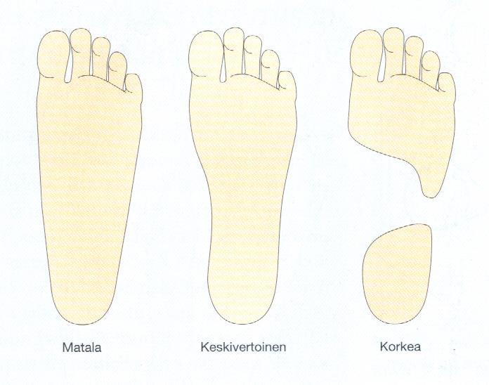 29 esiintyy molempia noin viidenneksellä ihmisistä (Williams & McClay 2000, Abdel- Raoofin, Kamelin & Tantawyn 2013, 428 mukaan). Kuva 12.