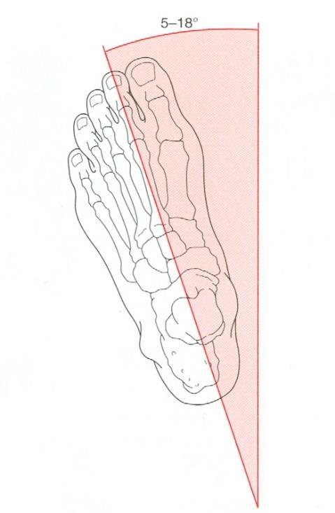 86 (Cote ym. 2005, 42 43.) Netterin (2011, 362) mukaan navicular drop -testin interrater on (ICC=0.93), joka kertoo myös erinomaisesta luotettavuudesta.