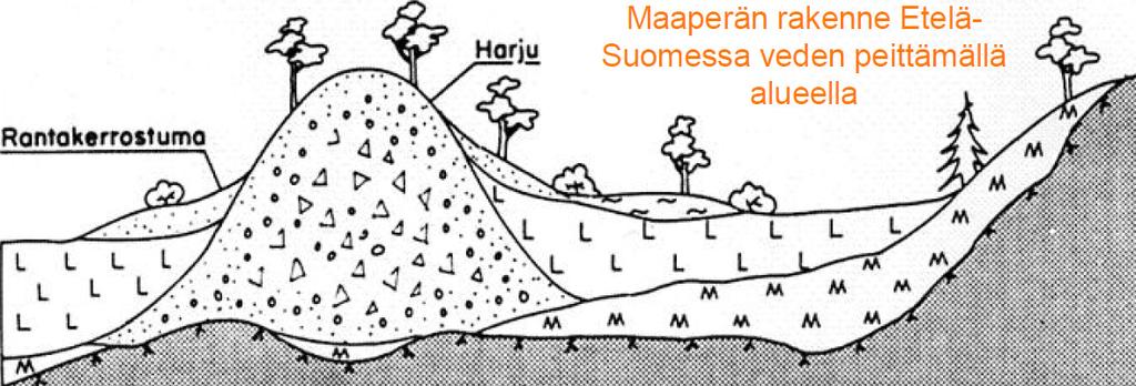 hiekka-ja sorakankaina Tärkein karkearakeinen maalajimuodostuma on harju kymmeniä, jopa satoja kilometrejä pitkiä 5 20 m korkeita vallimaisia selänteitä