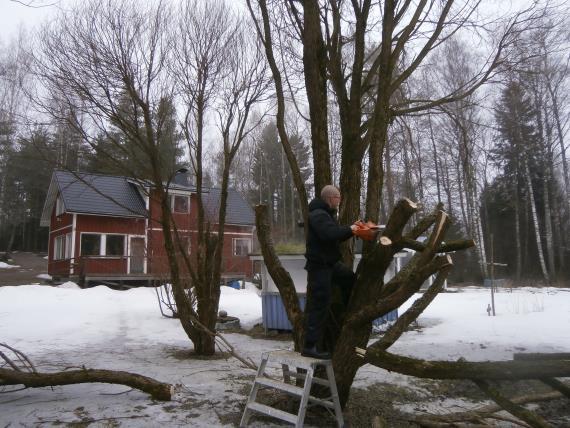 Kenen valtuutettu? Äskettäin käytiin Haminassakin kuntavaalit. Tulin jälleen kerran valituksi kristillisdemokraattien valtuutetuksi.