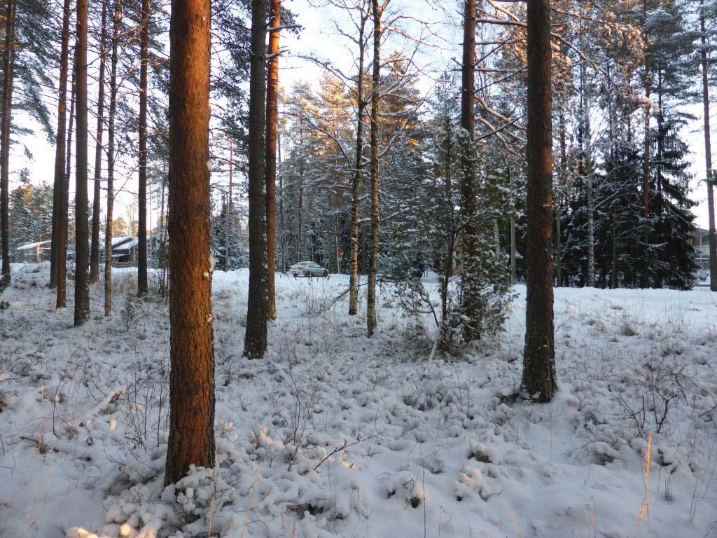 11/11 valokuvia ympäristöön tukiaseman