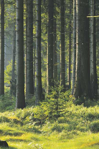 Kouluvierailut suunniteltiin ja suunnitellaan aina kohderyhmä huomioiden, pienille alakoululaisille kerrottiin samoista asioista eri tavalla kuin yläkoulun kotitalouden valinnaistunnilla oleville