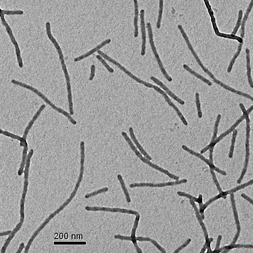 Polymeric nanorods and spheres made