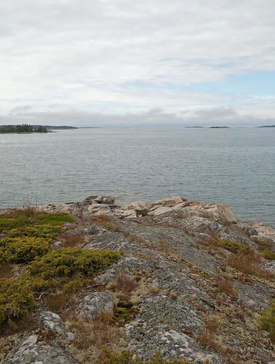 UUDENKAUPUNGIN PITKÄ HUUASKARIN LUONTOSELVITYS