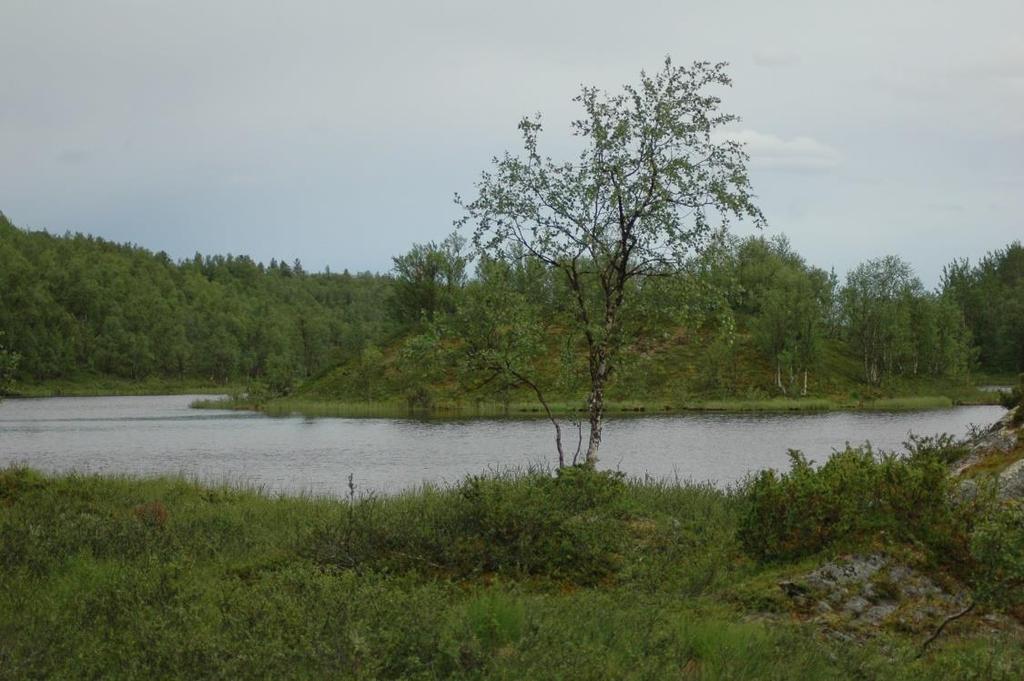 Jatketaan kalareissua Vaijoen