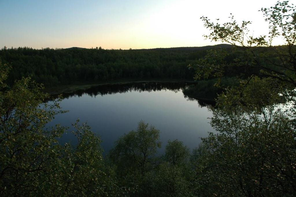 Tuohon saareen pitäisi joskus