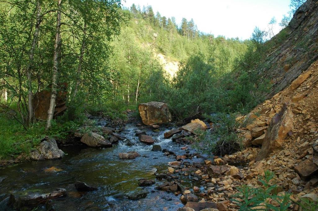 Vaijoen kanjonia Vaijoen järville
