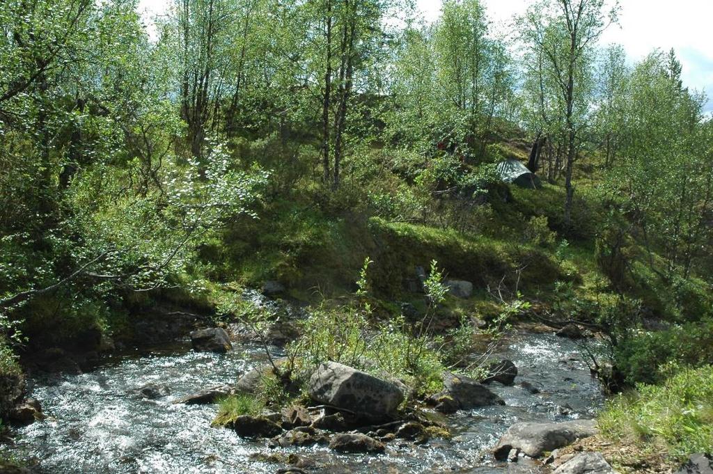Morgam Viibuksen päältä avautuu maisema Lemmenjoelle, ja kaukana häämöttävälle Hammastunturin erämaalle. Joenkielinen nousee korkeimmaksi. Matka jatkuu em. satulan kautta poroaidalle.