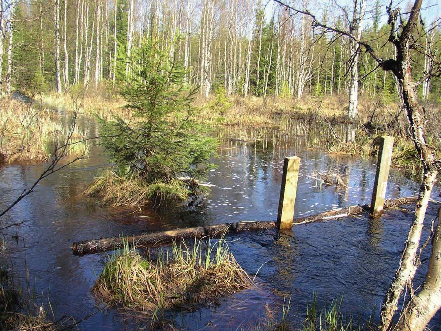 Tulvapenkereiden kunnossapitovastuun selventäminen Pengerrysyhtiö vastaa penkereiden kunnossapidosta hoitamalla ja kunnossapitämällä kuivatusojia sekä niihin kuuluvia rakenteita.
