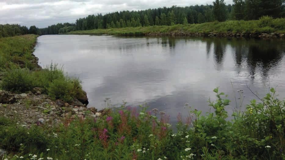 Pidätyskykyä parannetaan mm. mitoittamalla rummut pienemmiksi ja rakentamalla kosteikkoja. Kuva: Oja padottu, jotta tulvalla vesi pidättyy tulvaniitylle (jättömaata).